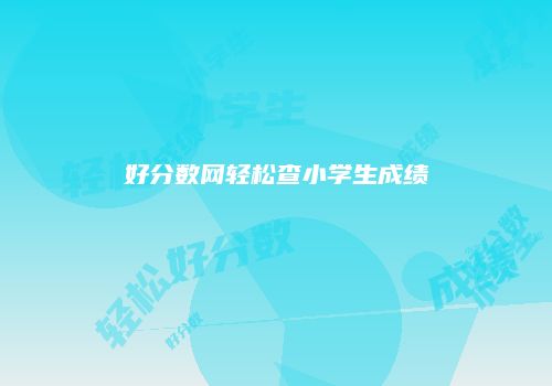 好分数网轻松查小学生成绩