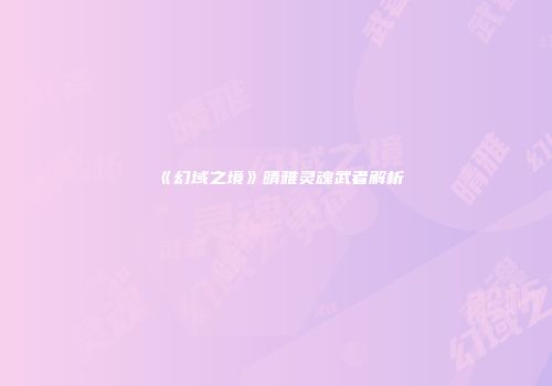 《幻域之境》晴雅灵魂武者解析