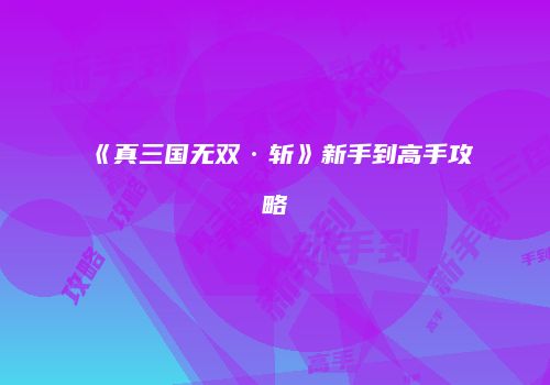 《真三国无双·斩》新手到高手攻略