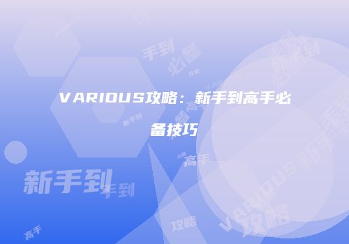 VARIOUS攻略：新手到高手必备技巧