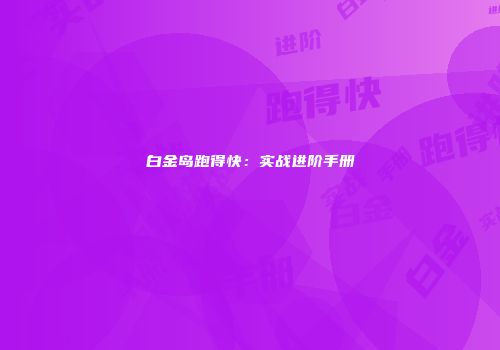 白金岛跑得快：实战进阶手册