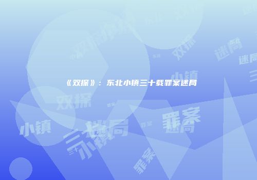 《双探》：东北小镇三十载罪案迷局