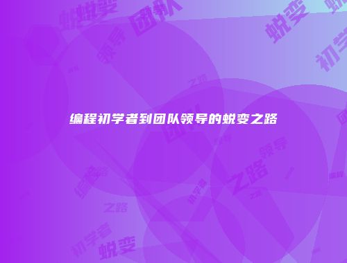 编程初学者到团队领导的蜕变之路