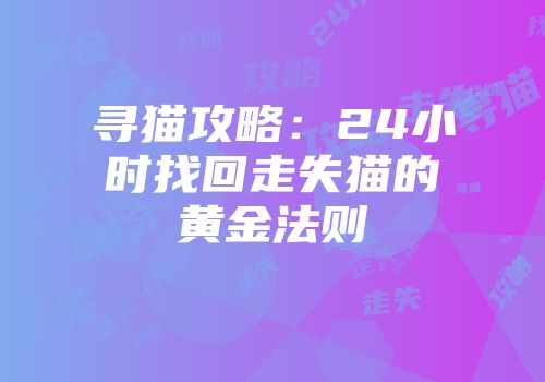 寻猫攻略：24小时找回走失猫的黄金法则