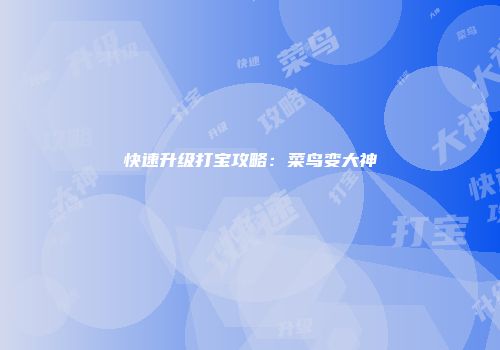 快速升级打宝攻略：菜鸟变大神