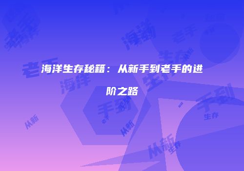海洋生存秘籍：从新手到老手的进阶之路