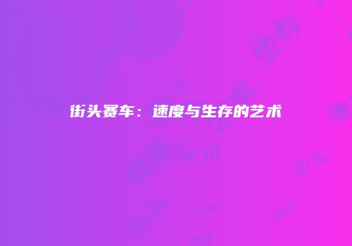 街头赛车:速度与生存的艺术