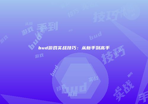 bud游戏实战技巧：从新手到高手