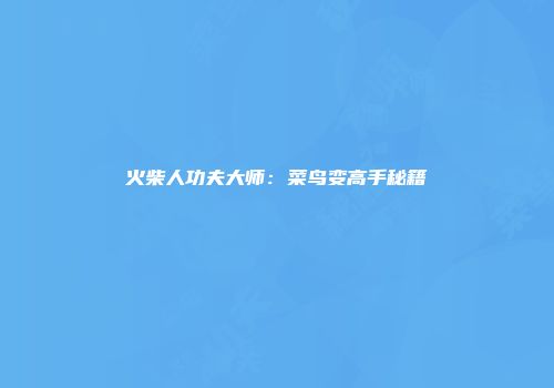 火柴人功夫大师：菜鸟变高手秘籍