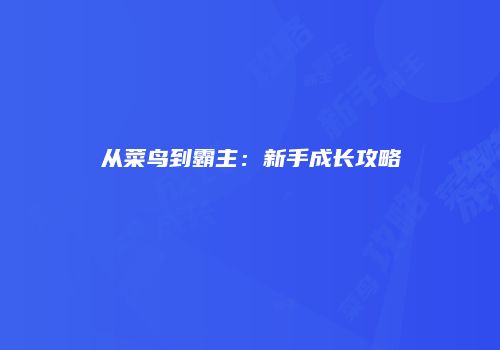 从菜鸟到霸主：新手成长攻略
