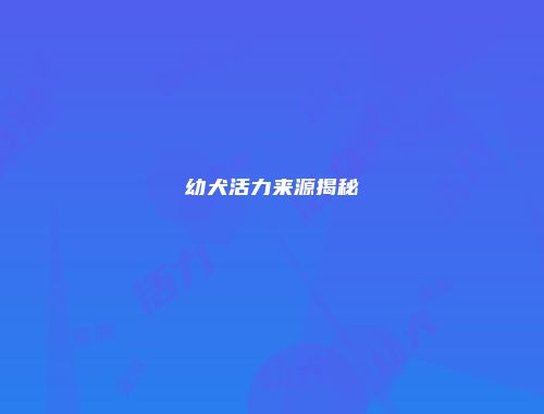 幼犬活力来源揭秘