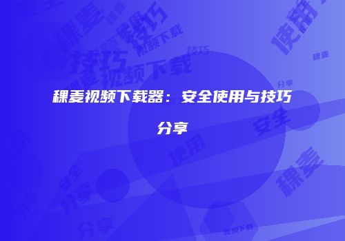 稞麦视频下载器：安全使用与技巧分享
