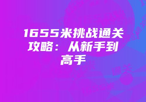 1655米挑战通关攻略：从新手到高手
