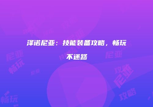 泽诺尼亚：技能装备攻略，畅玩不迷路