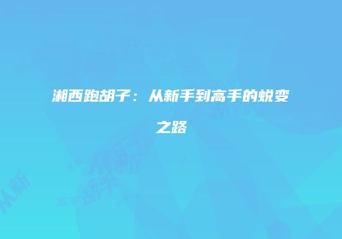 湘西跑胡子：从新手到高手的蜕变之路