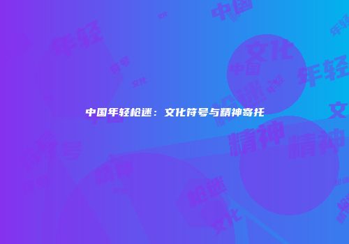 中国年轻枪迷：文化符号与精神寄托