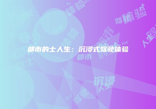 都市的士人生：沉浸式驾驶体验