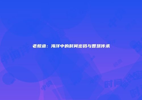 老鲸鱼：海洋中的时间密码与智慧传承
