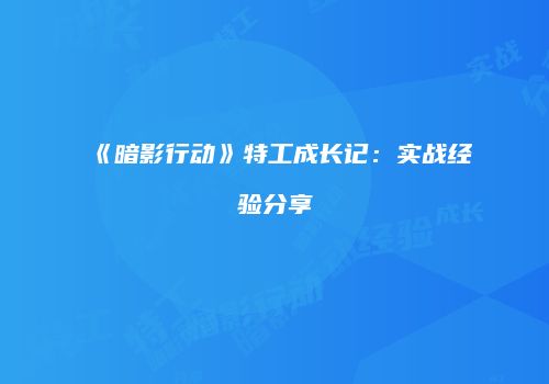 《暗影行动》特工成长记：实战经验分享