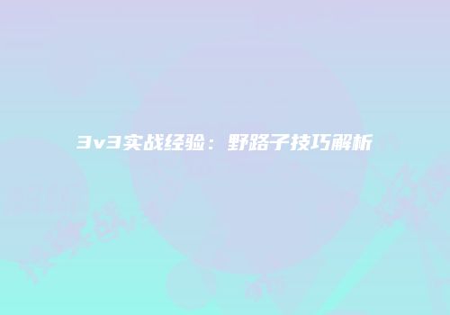 3v3实战经验:野路子技巧解析