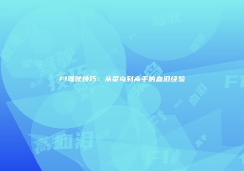 F1驾驶技巧：从菜鸟到高手的血泪经验