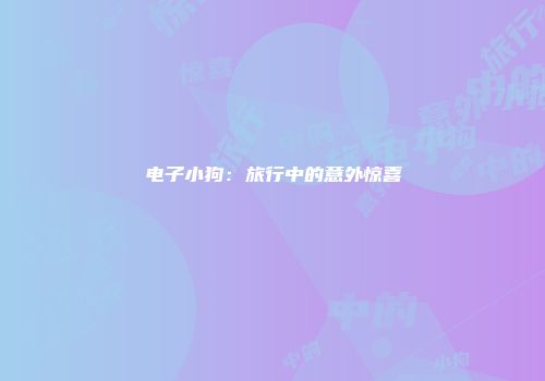 电子小狗：旅行中的意外惊喜