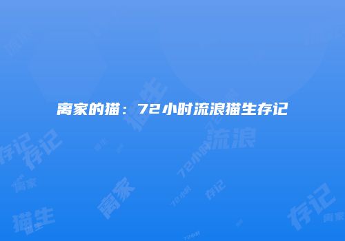 离家的猫：72小时流浪猫生存记