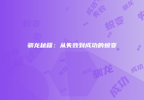 驯龙秘籍：从失败到成功的蜕变