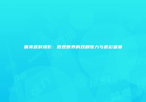 菌类延时摄影：微观世界的戏剧张力与色彩盛宴