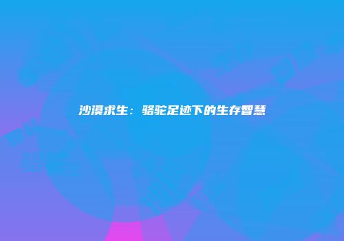 沙漠求生:骆驼足迹下的生存智慧