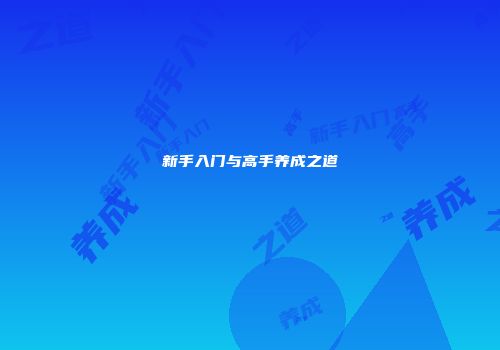 新手入门与高手养成之道