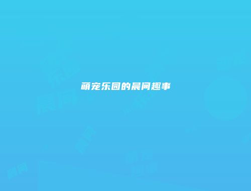 萌宠乐园的晨间趣事