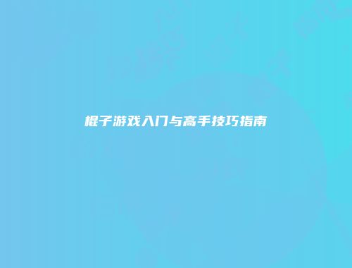 棍子游戏入门与高手技巧指南