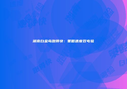 湖南白金岛跑得快:策略速度双考验