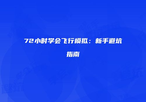 72小时学会飞行模拟：新手避坑指南