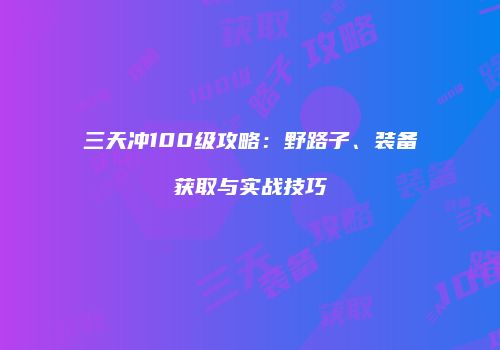 三天冲100级攻略：野路子、装备获取与实战技巧