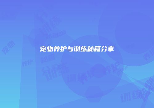 宠物养护与训练秘籍分享