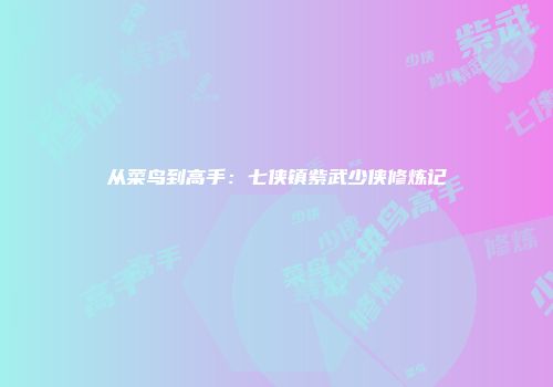从菜鸟到高手:七侠镇紫武少侠修炼记