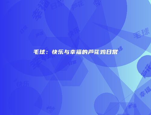 毛球：快乐与幸福的芦花鸡日常
