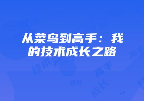从菜鸟到高手：我的技术成长之路