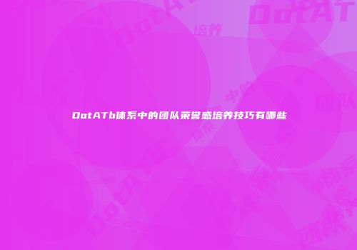 DotATb体系中的团队荣誉感培养技巧有哪些
