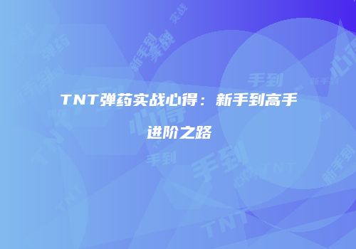 TNT弹药实战心得：新手到高手进阶之路
